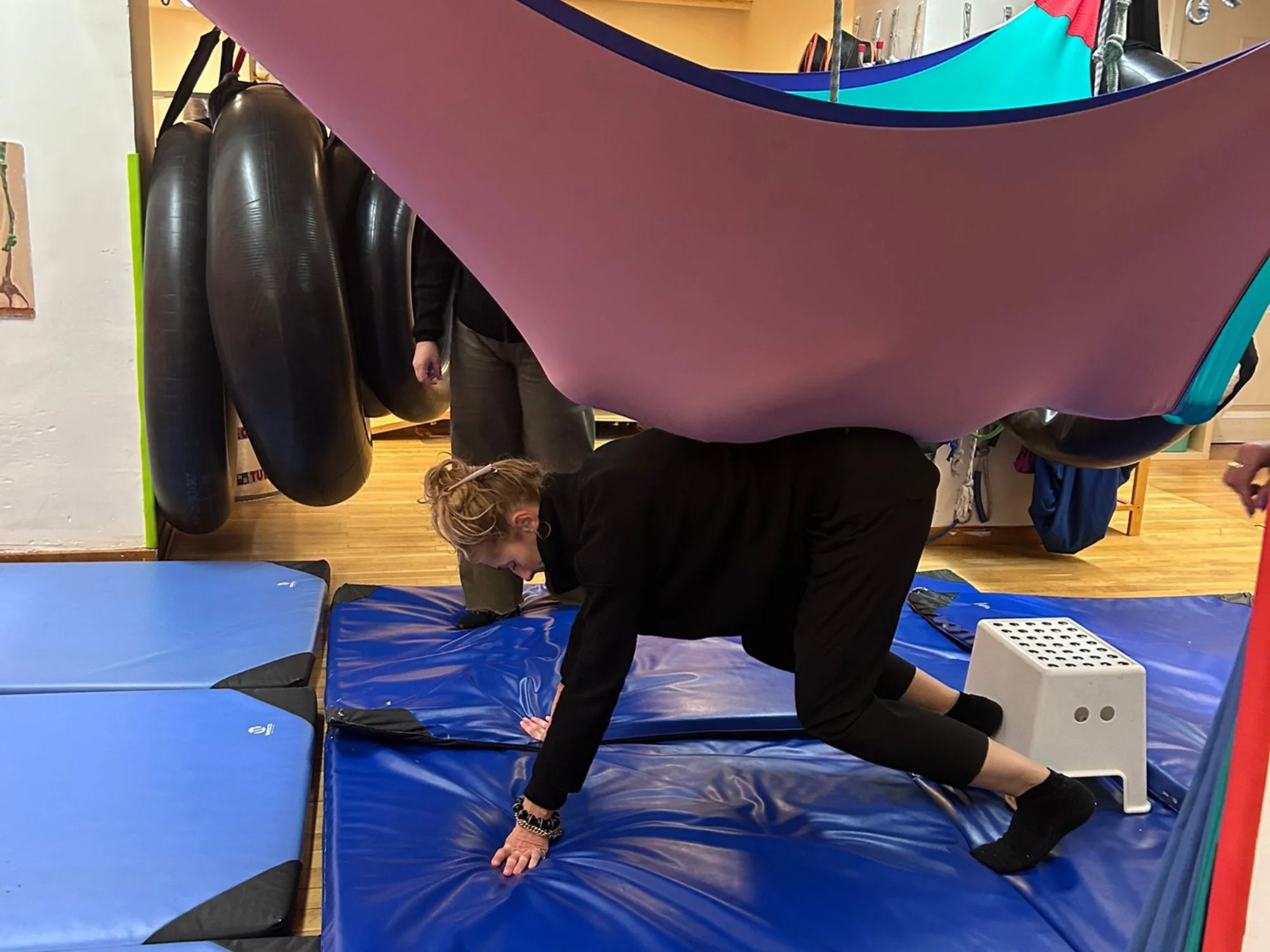 Dalija Acin Thelander al CEIB