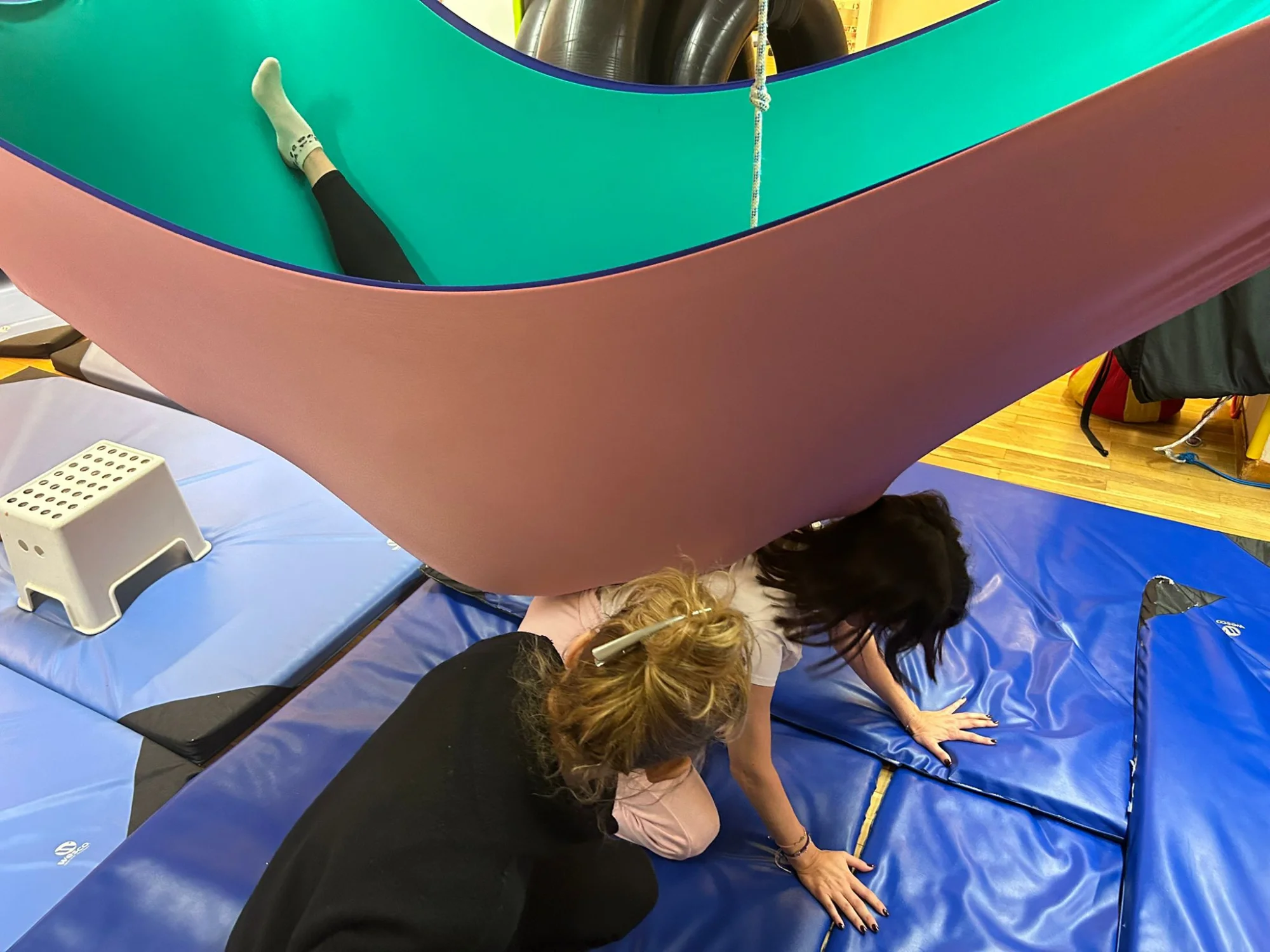 Dalija Acin Thelander al CEIB