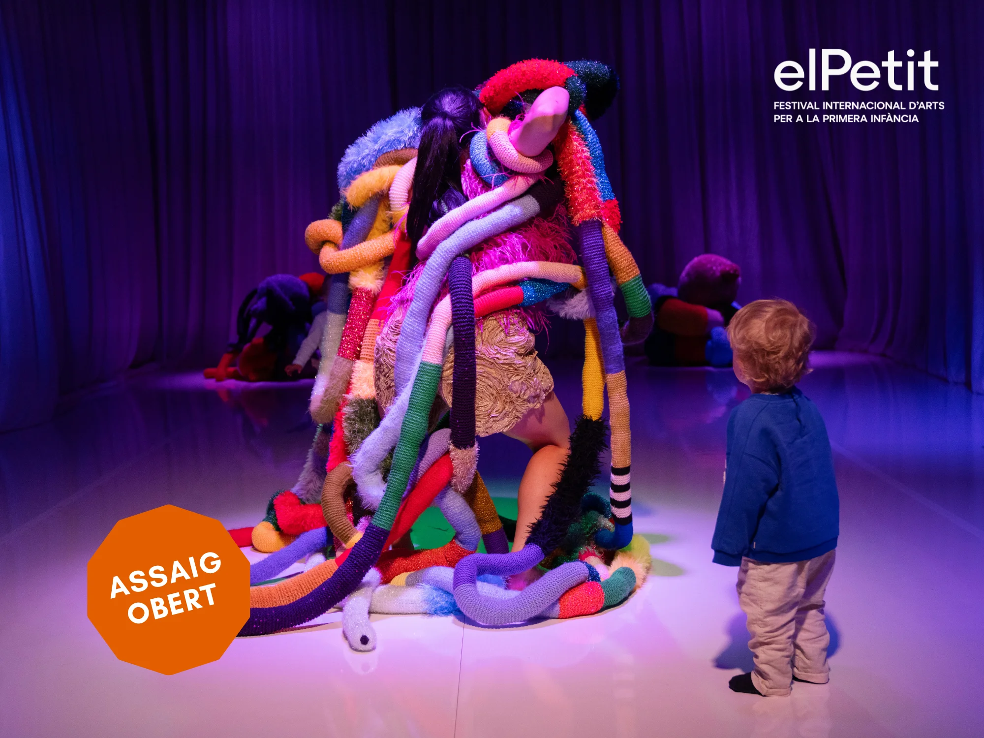 Wonder - assaig obert