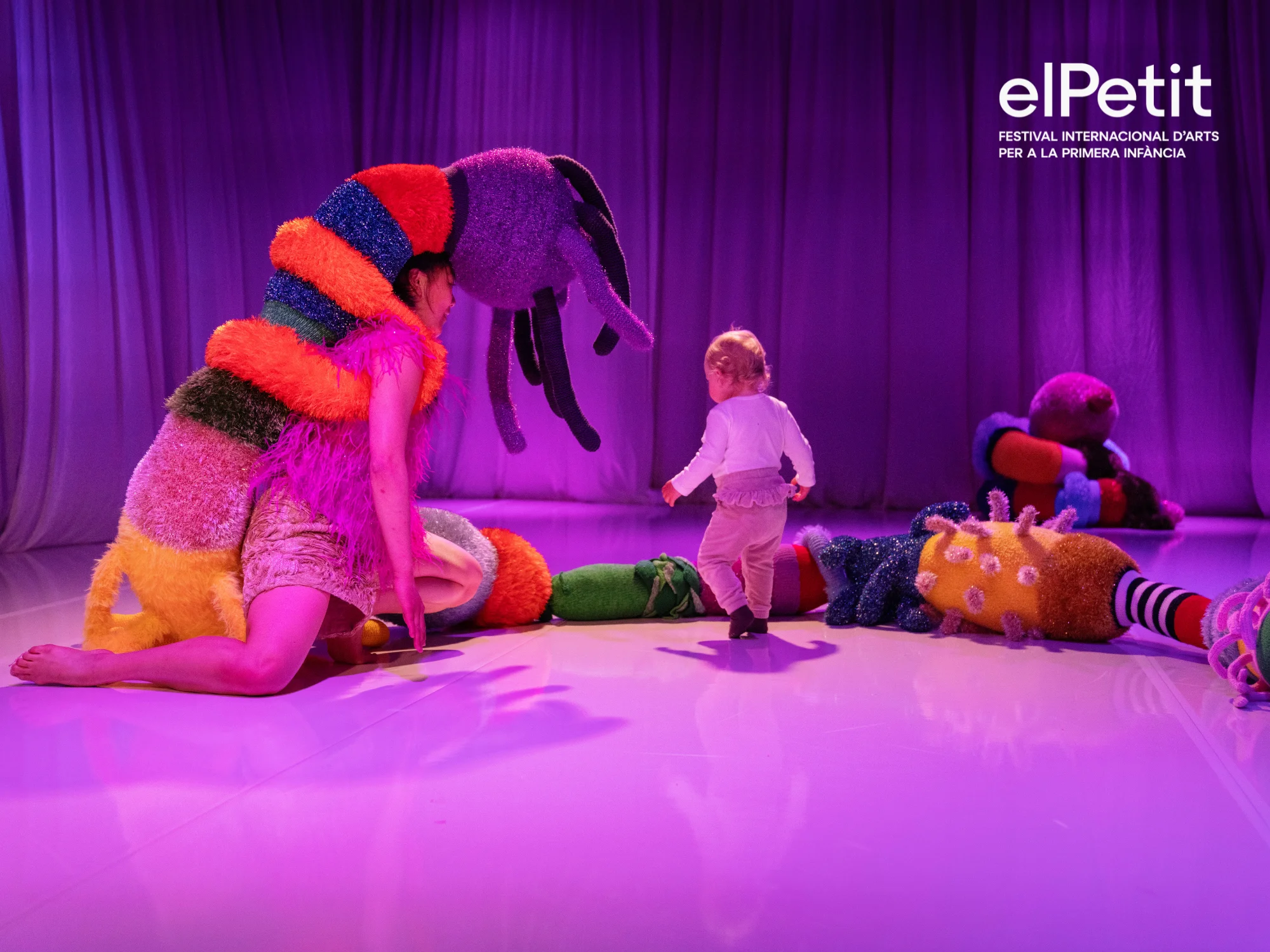 Wonder - assaig obert