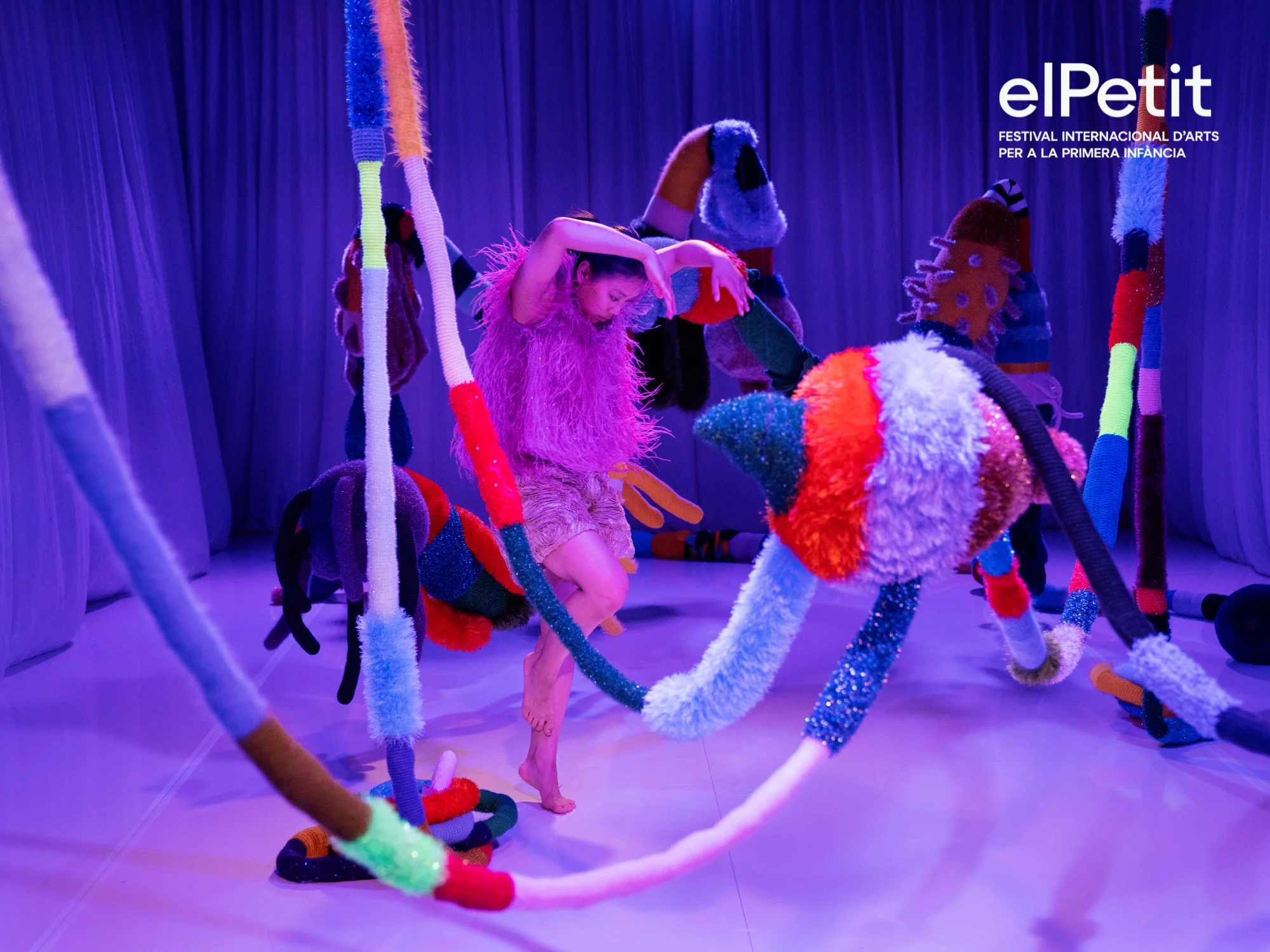 Wonder - assaig obert