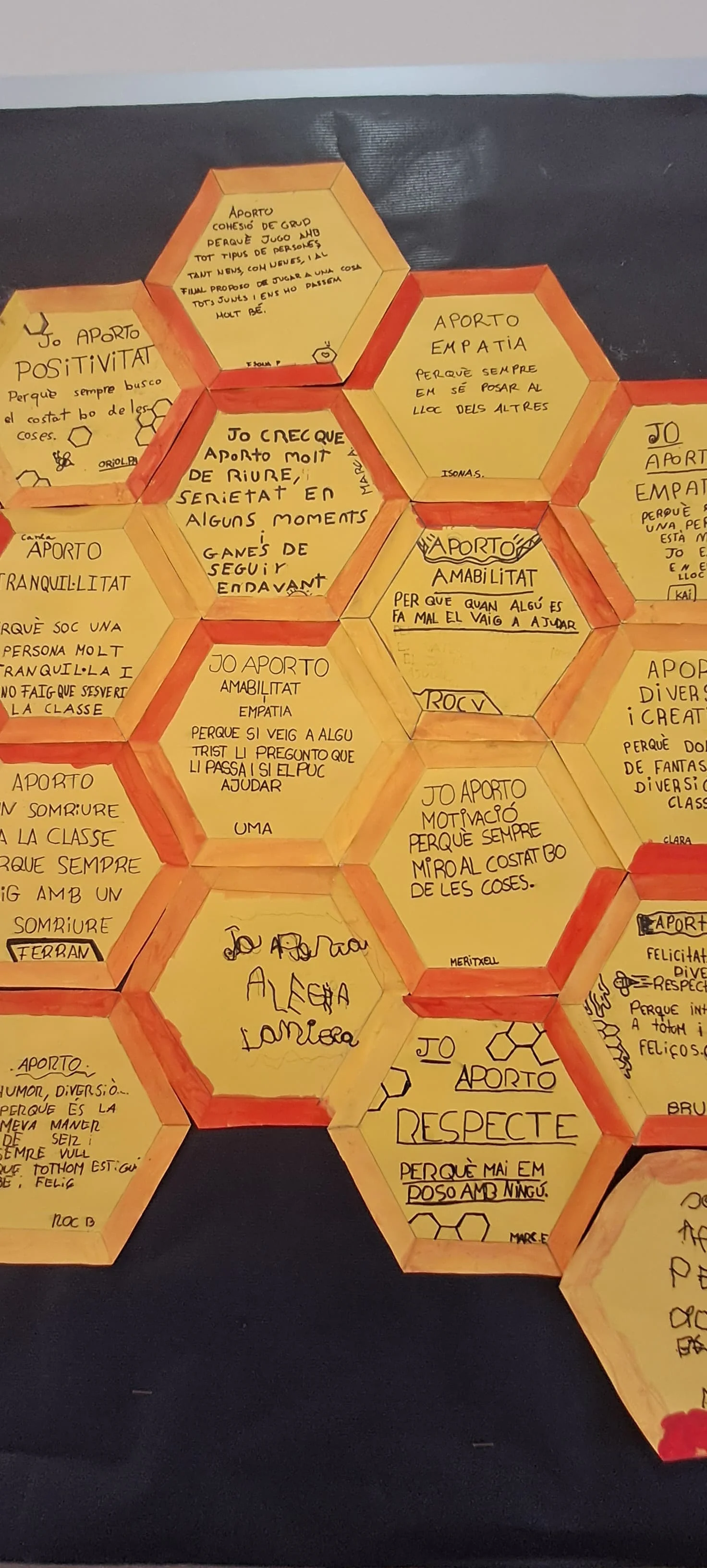 Laboratori Marta Torres